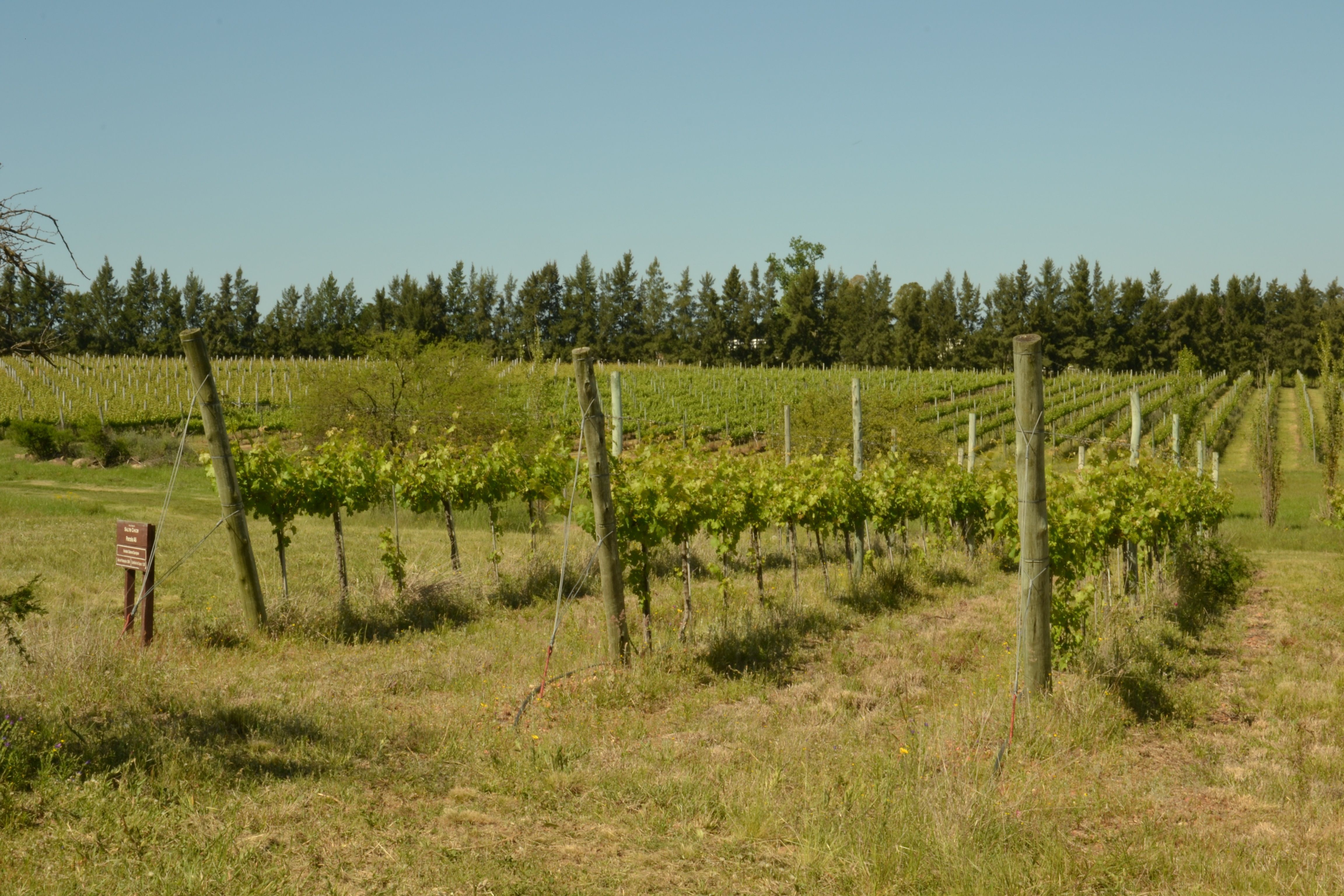 Imagen de la diapositiva