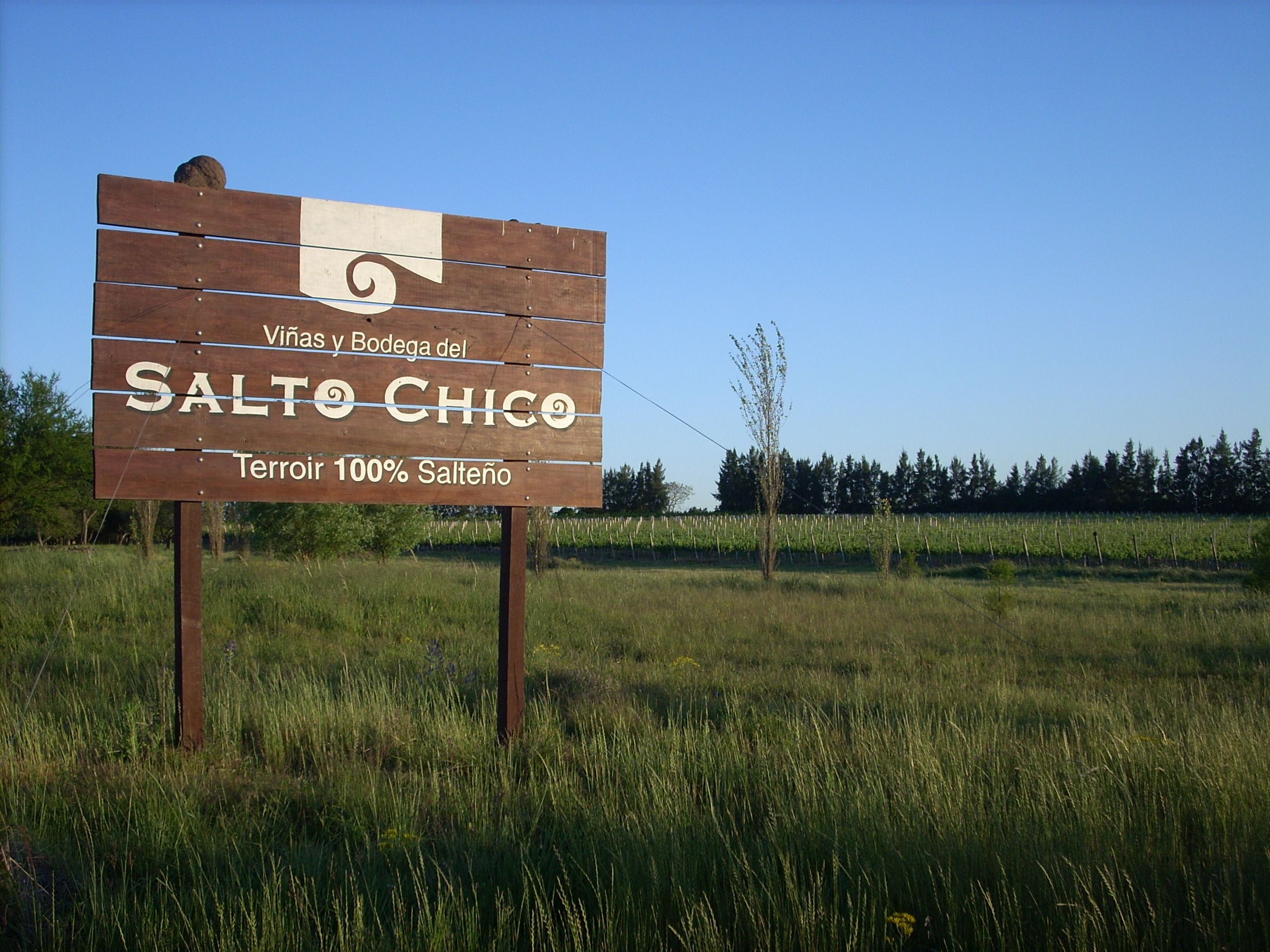 Imagen de la diapositiva