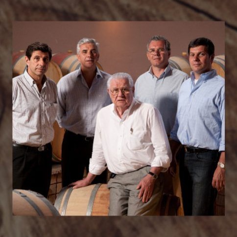 Odoo • Imagen y texto