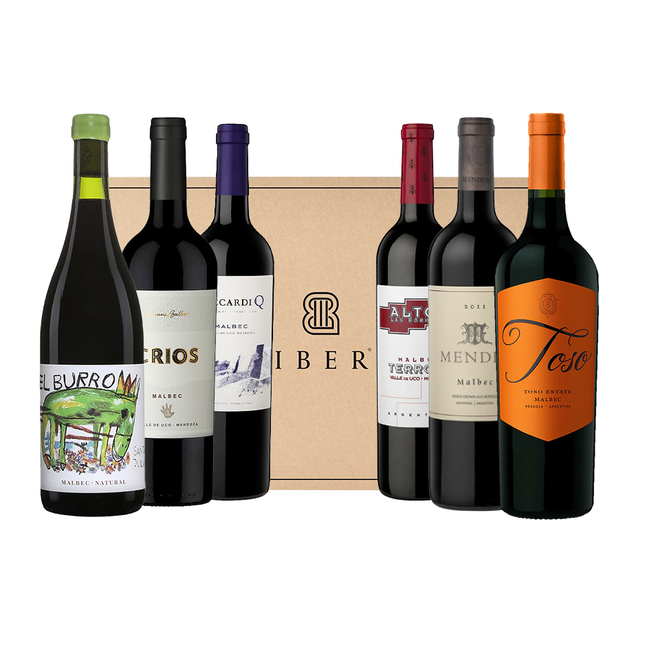 BOX SOMMELIER SELECCION DE ENOLOGOS ARGENTINOS