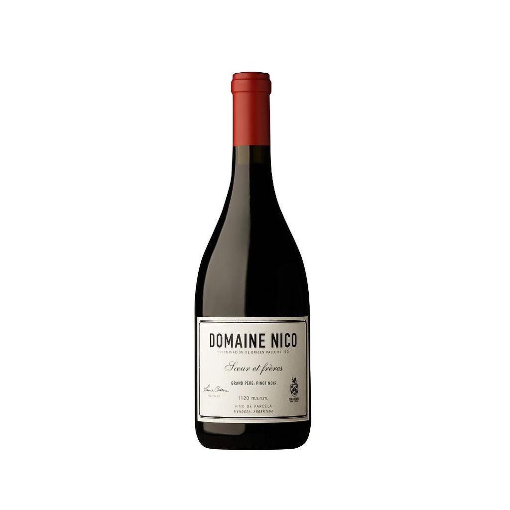 VINO DOMAINE NICO GRAND PERE 750 ML